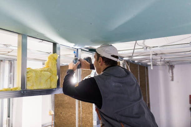 Best Commercial Insulation in Liberty Hill, TX