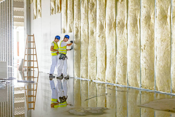 Best Insulation Materials and Products in Liberty Hill, TX
